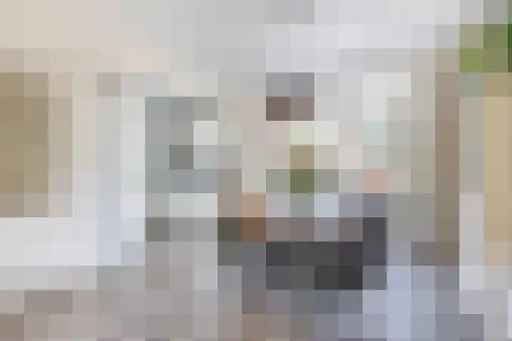 Nassaustraat 19 Lisse thumbnail 6