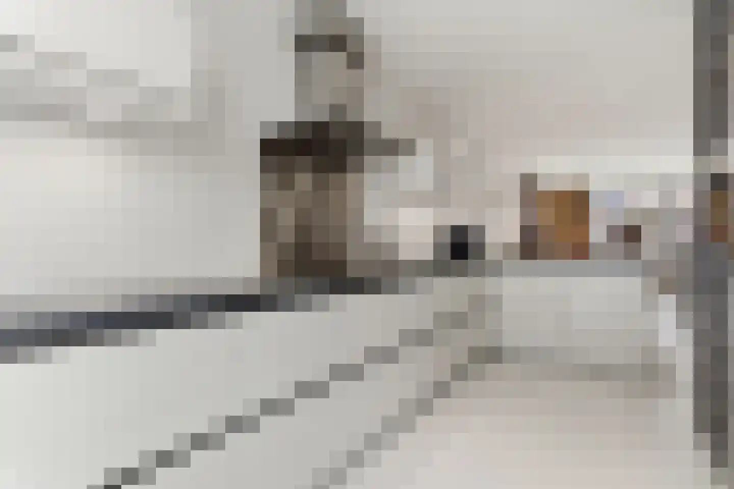 Nassaustraat 19 Rotterdam thumbnail 16