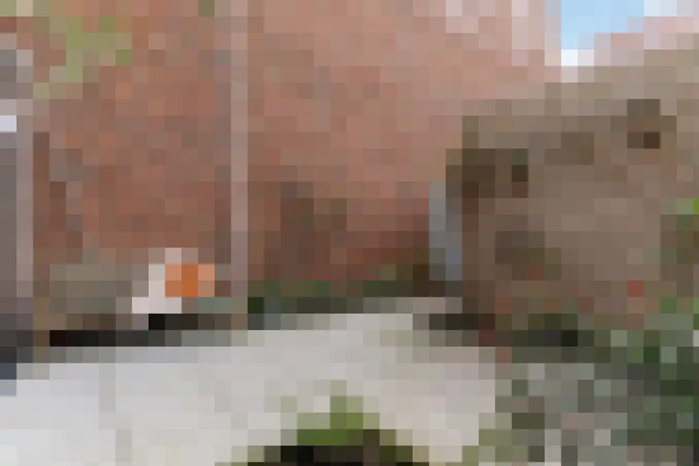 Nassaustraat 19 Rotterdam thumbnail 19
