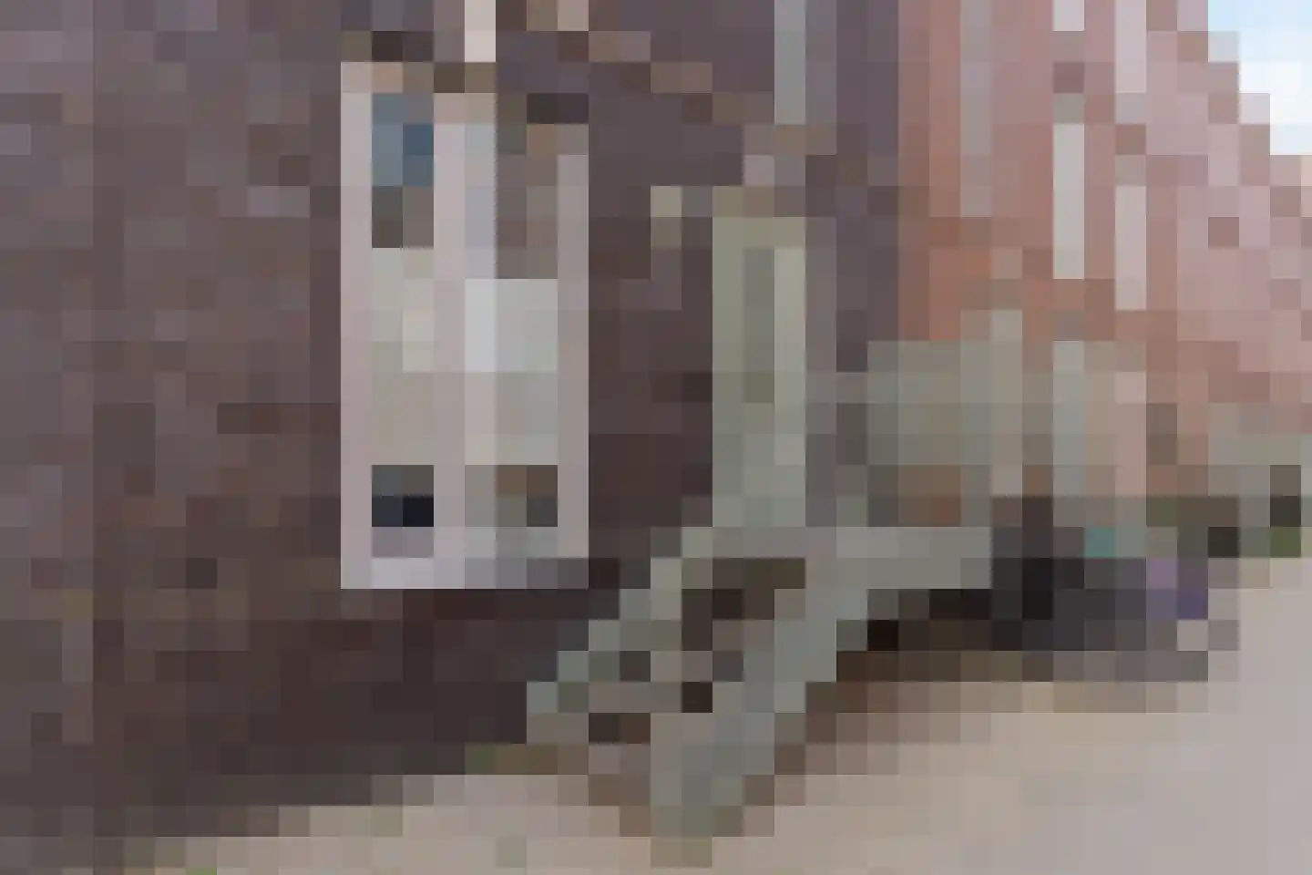 Nassaustraat 19 Rotterdam thumbnail 5