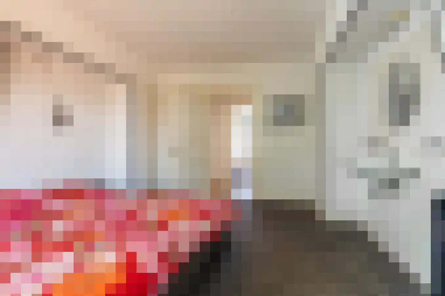 Nassaustraat 19 Winschoten thumbnail 38