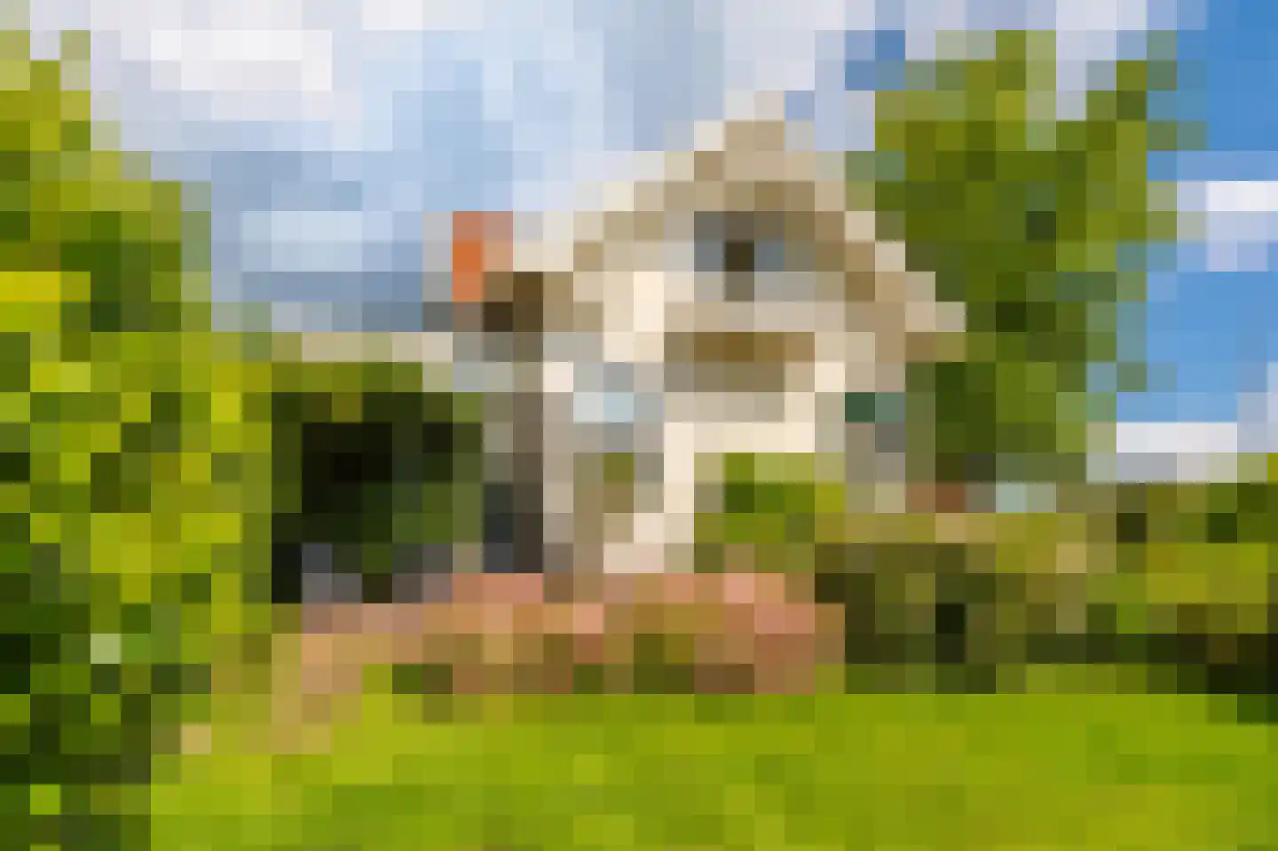 Nassaustraat 19 Winschoten thumbnail 51