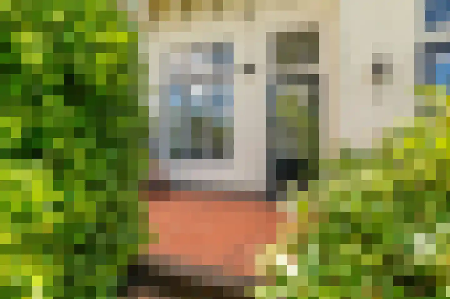 Nassaustraat 19 Winschoten thumbnail 60