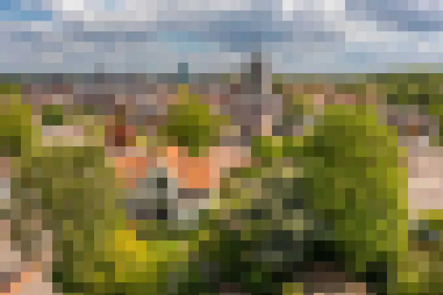 Nassaustraat 19 Winschoten thumbnail 73