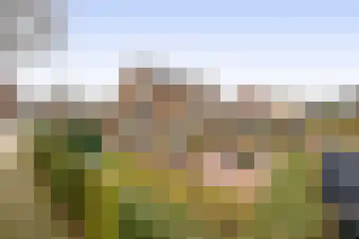 Nassaustraat 2 Moerkapelle thumbnail 4