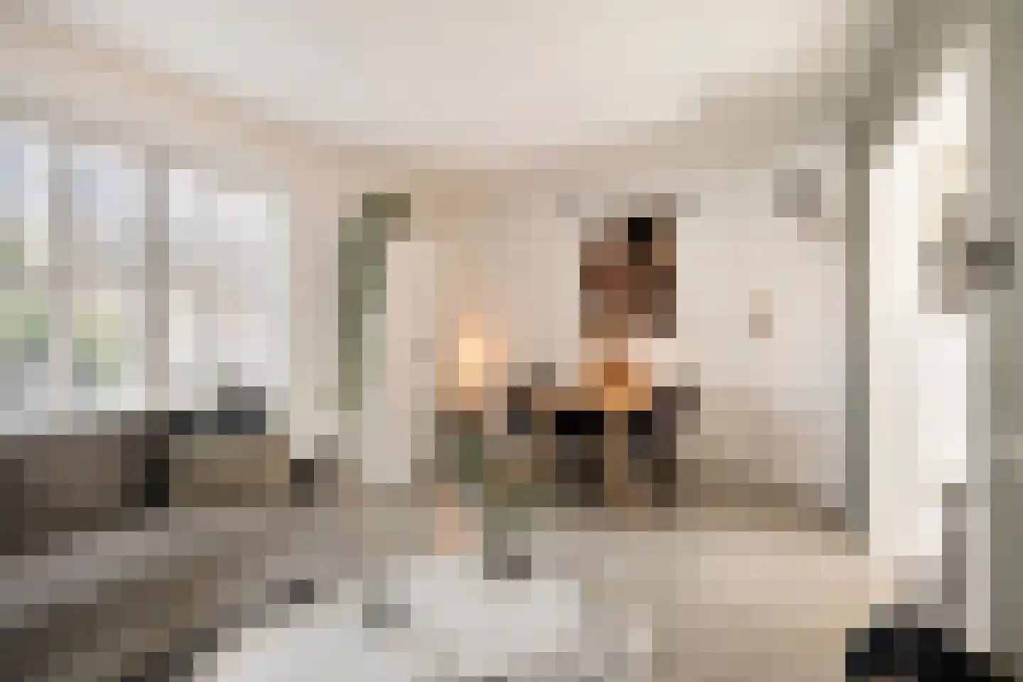 Nassaustraat 2 Sas van Gent thumbnail 10