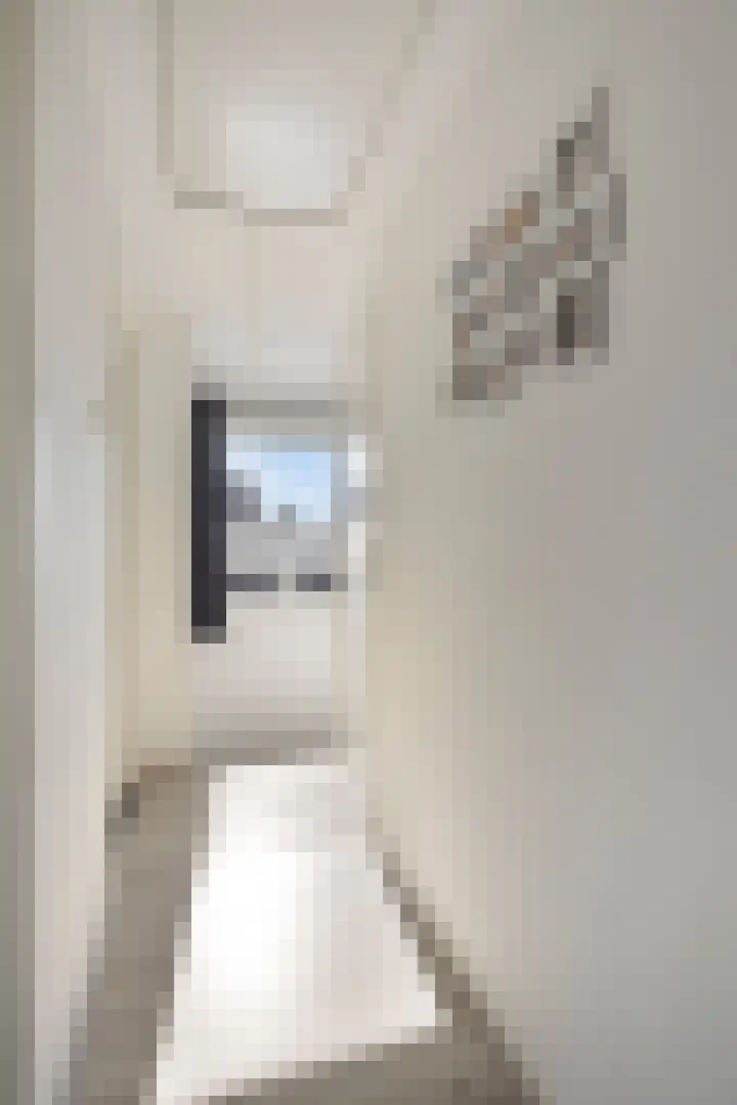 Nassaustraat 2 Sas van Gent thumbnail 23