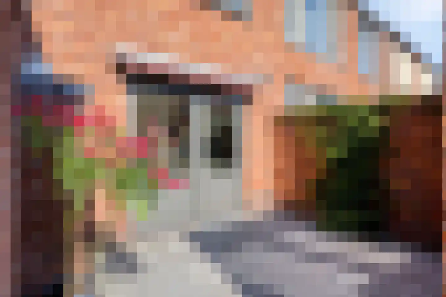 Nassaustraat 2 Sas van Gent thumbnail 34