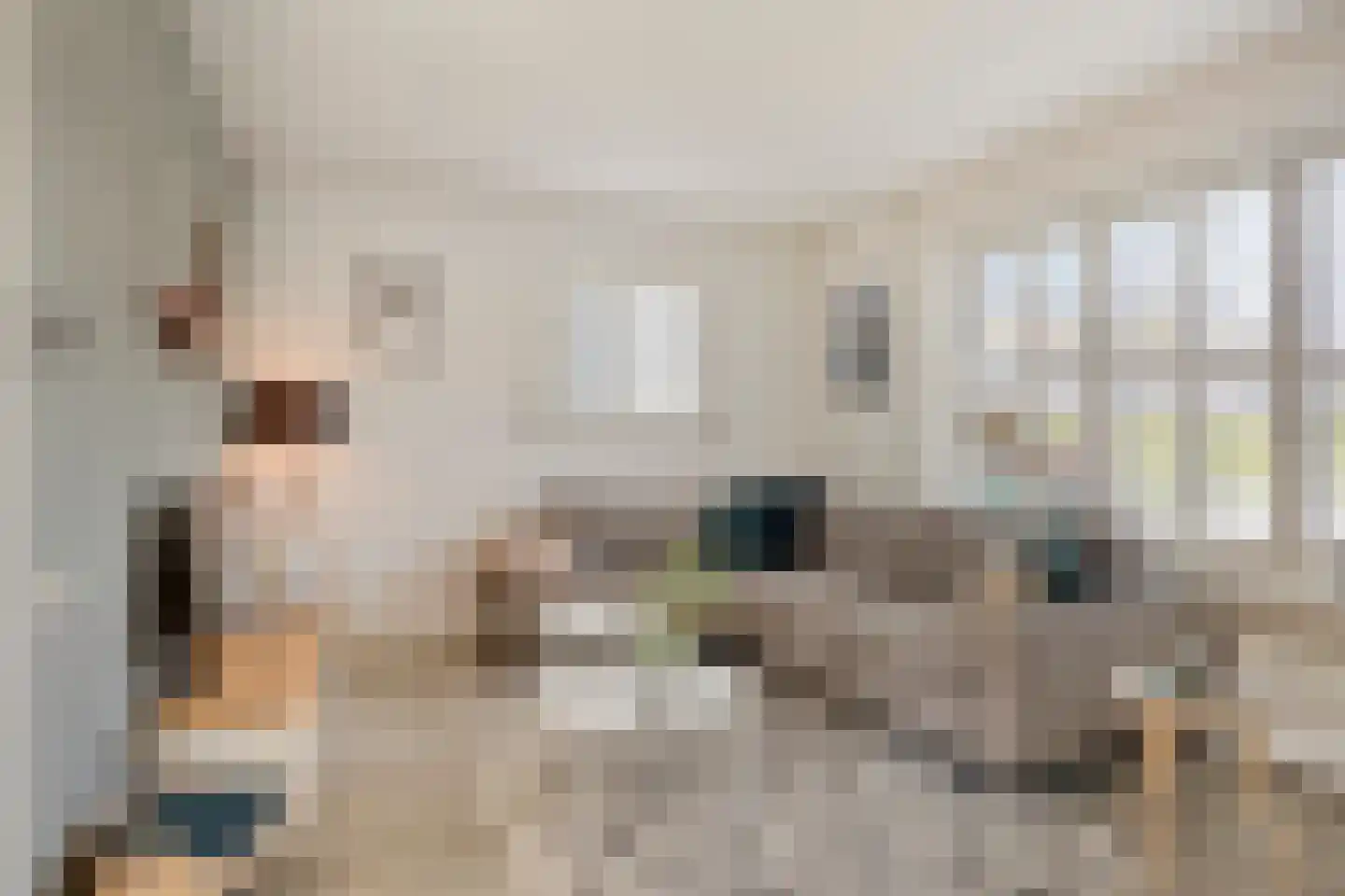 Nassaustraat 2 Sas van Gent thumbnail 9
