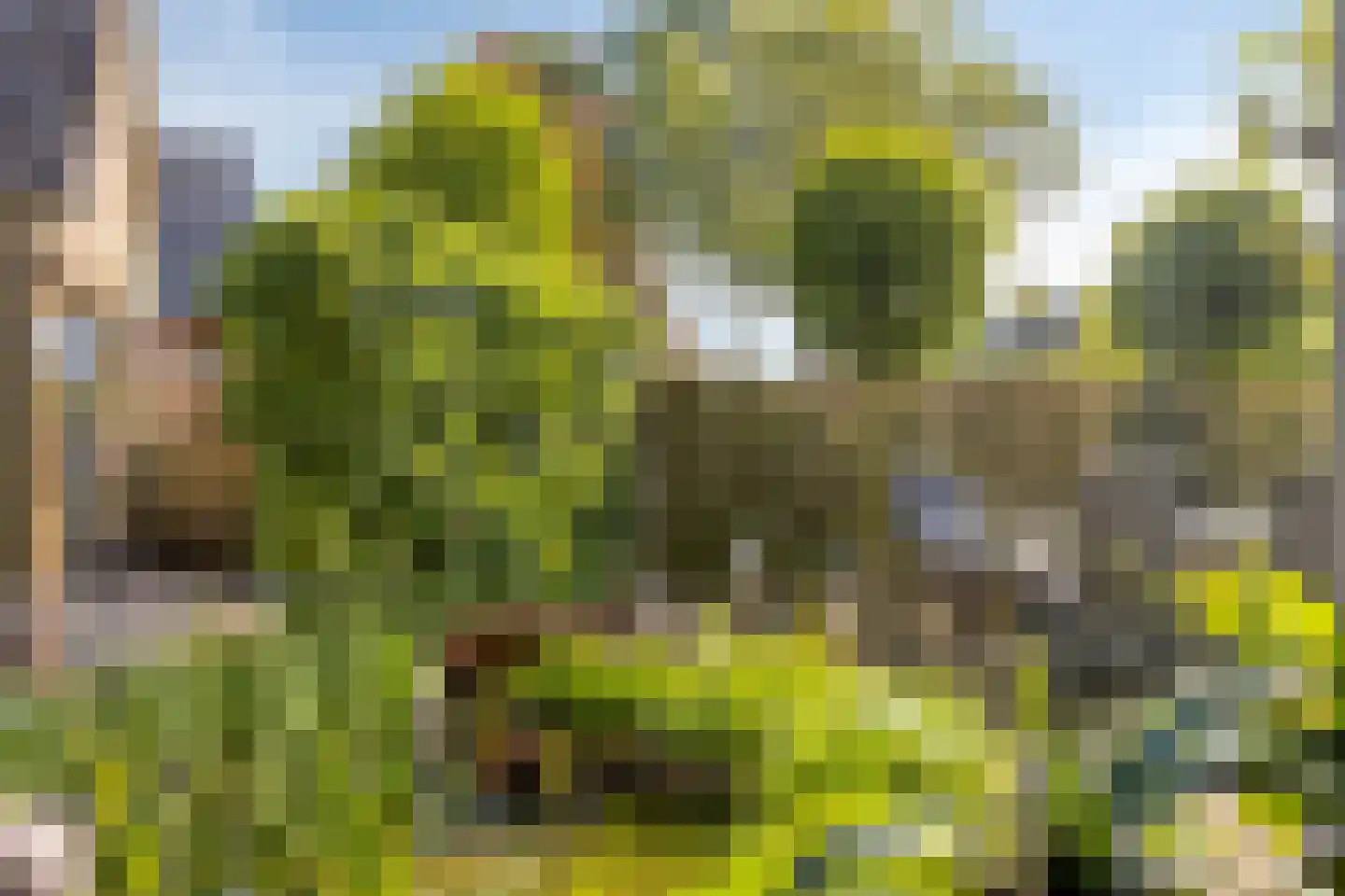 Nassaustraat 2 Varsseveld thumbnail 12