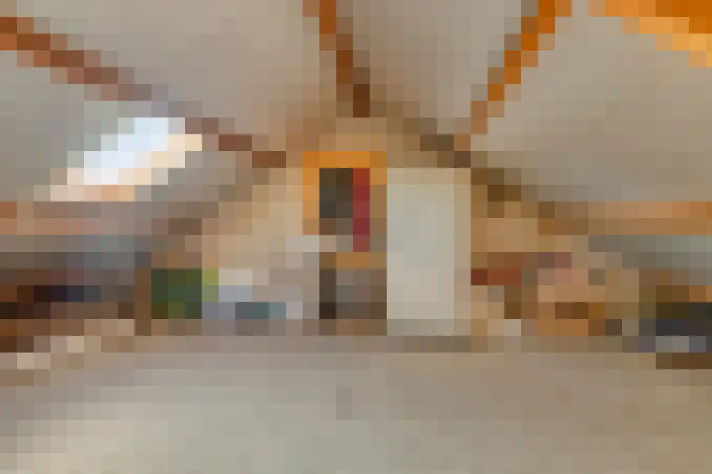 Nassaustraat 2 Varsseveld thumbnail 35