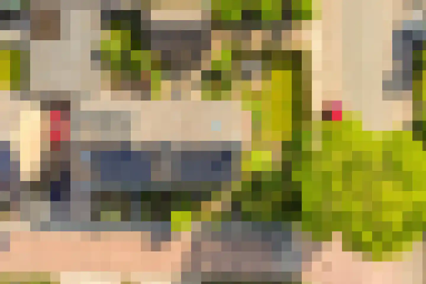 Nassaustraat 2 Varsseveld thumbnail 43