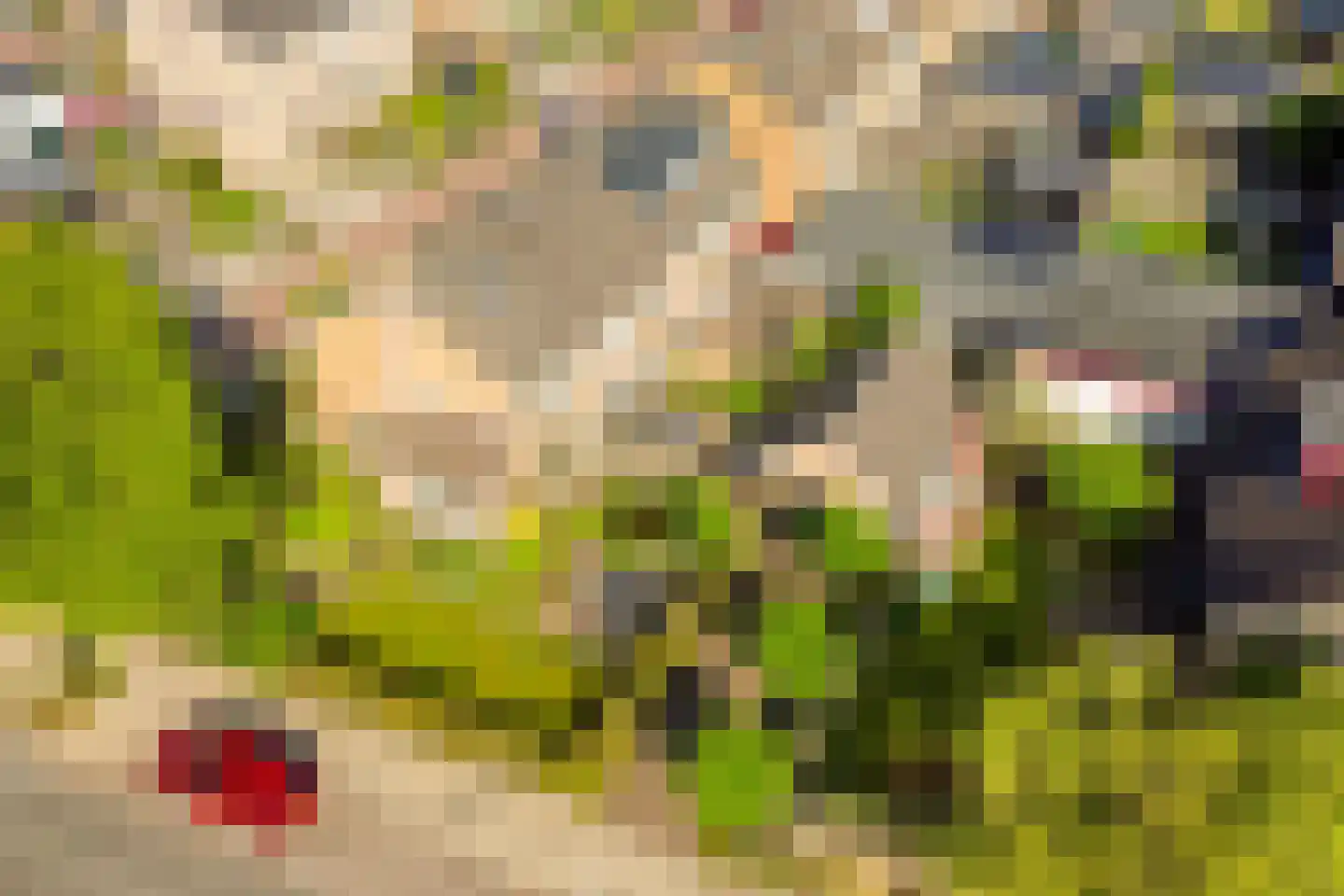 Nassaustraat 2 Varsseveld thumbnail 47