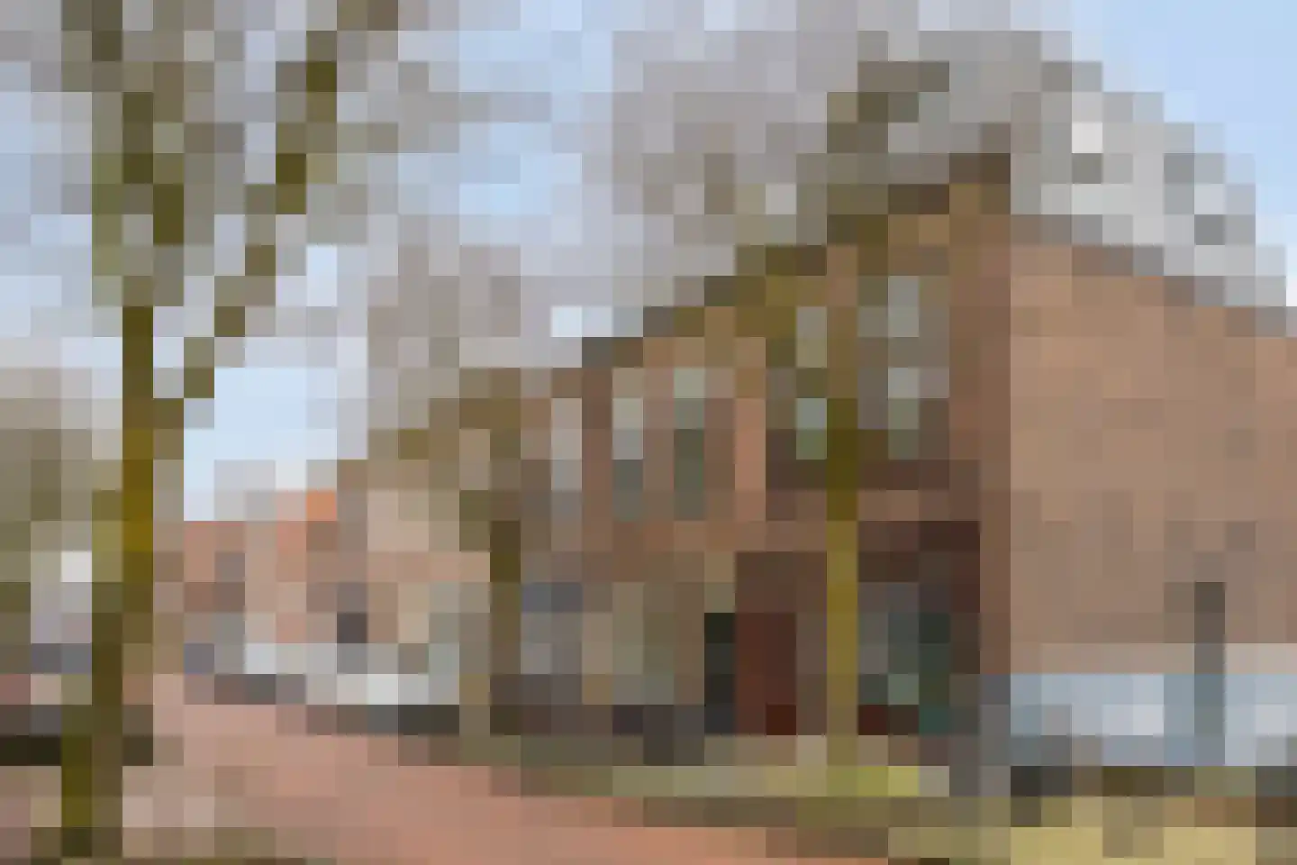 Nassaustraat 20 Leiden thumbnail 28