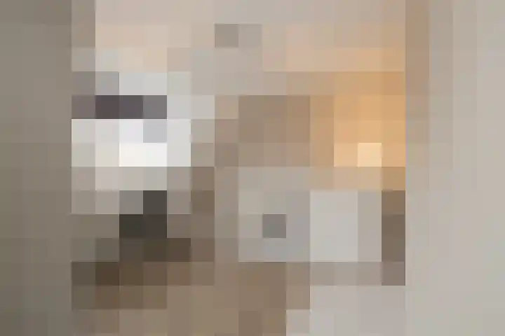 Nassaustraat 214 Lisse thumbnail 20