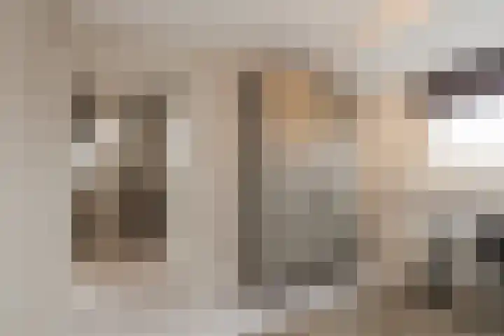 Nassaustraat 214 Lisse thumbnail 21