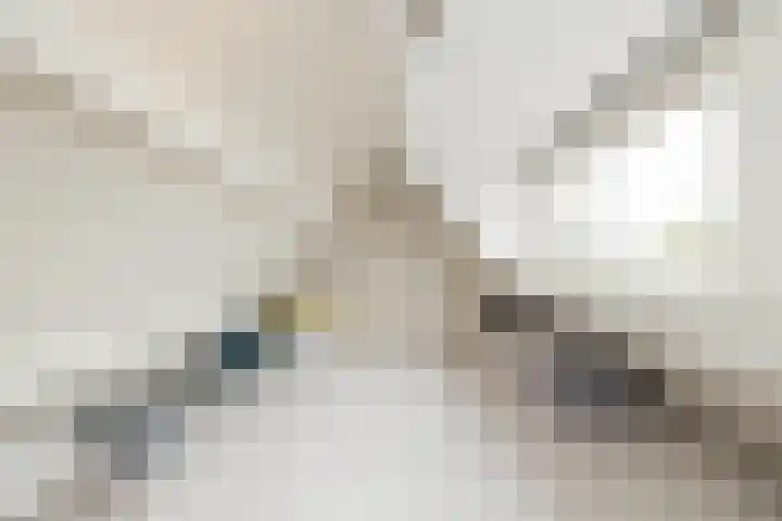 Nassaustraat 214 Lisse thumbnail 25