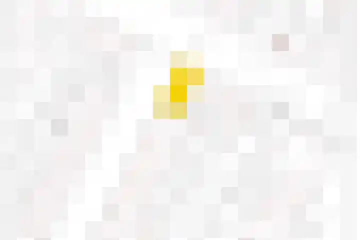 Nassaustraat 214 Lisse thumbnail 32