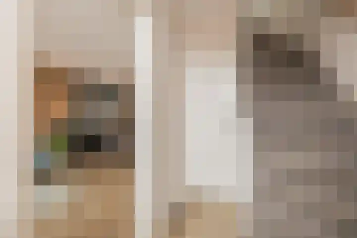 Nassaustraat 214 Lisse thumbnail 6