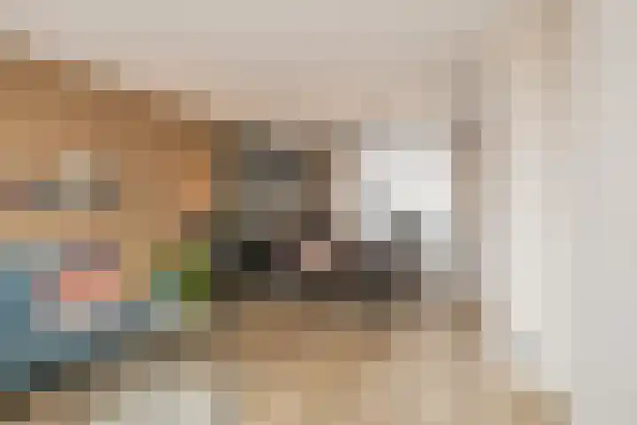 Nassaustraat 214 Lisse thumbnail 7
