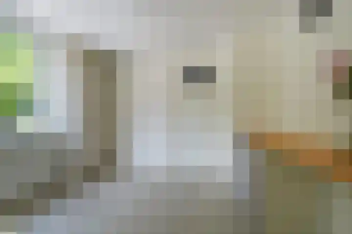 Nassaustraat 22 Tilburg thumbnail 28
