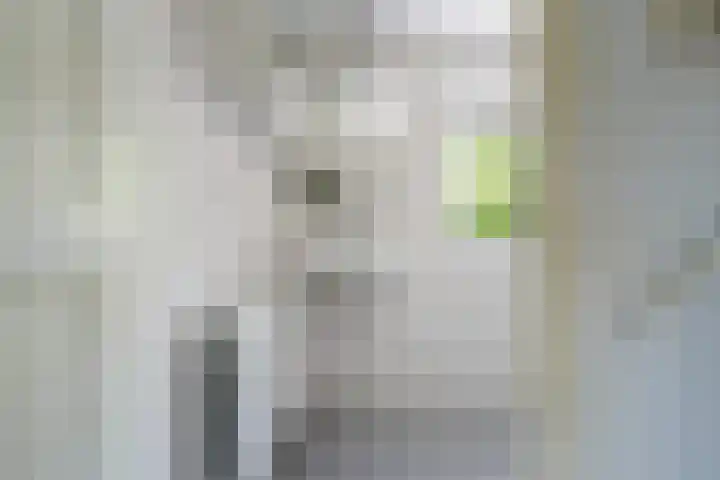 Nassaustraat 22 Tilburg thumbnail 32