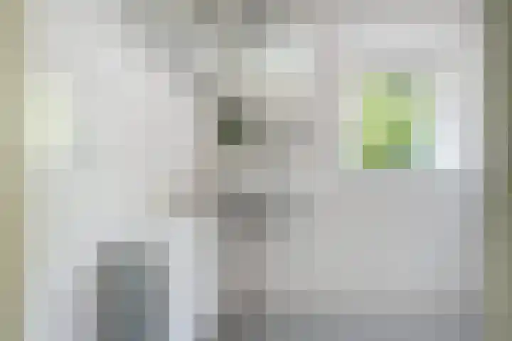 Nassaustraat 22 Tilburg thumbnail 33