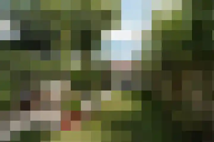 Nassaustraat 22 Tilburg thumbnail 4