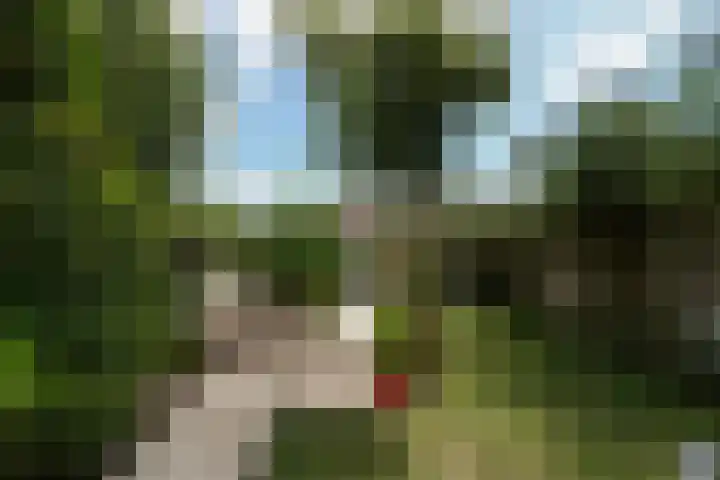 Nassaustraat 22 Tilburg thumbnail 41