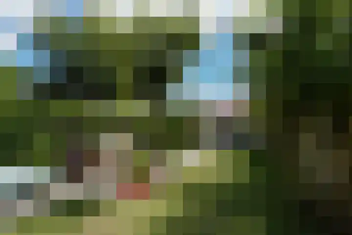 Nassaustraat 22 Tilburg thumbnail 42