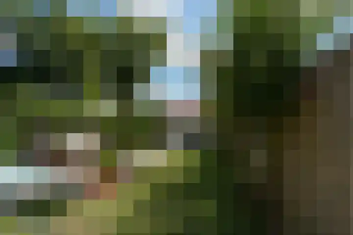 Nassaustraat 22 Tilburg thumbnail 47