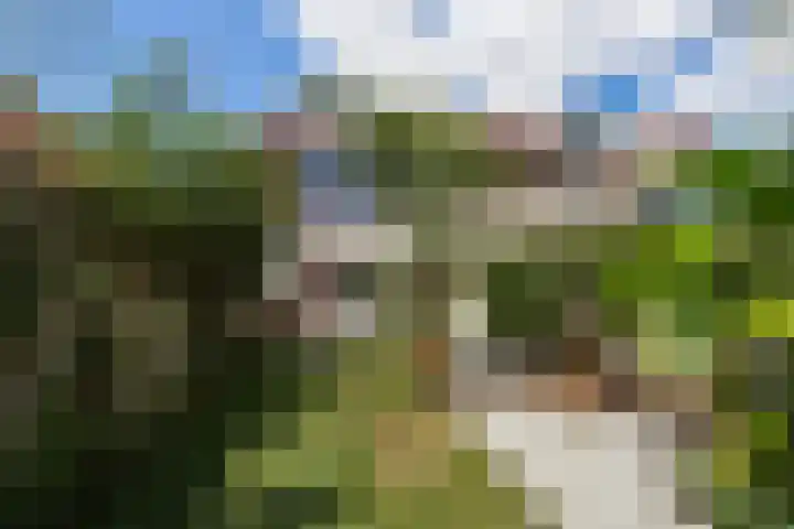 Nassaustraat 22 Tilburg thumbnail 5