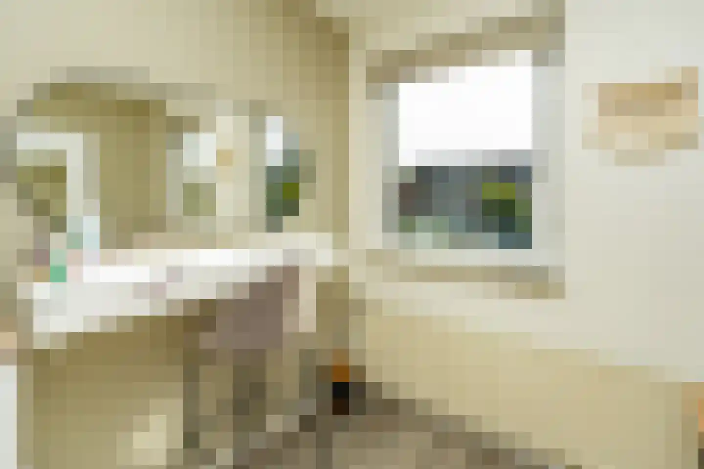 Nassaustraat 23 Ooij thumbnail 34