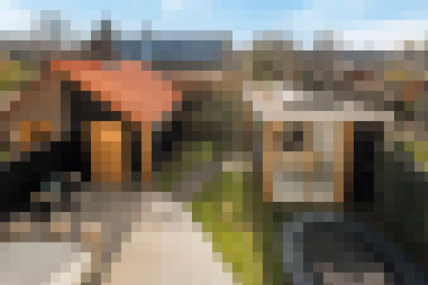 Nassaustraat 237 Ridderkerk thumbnail 41