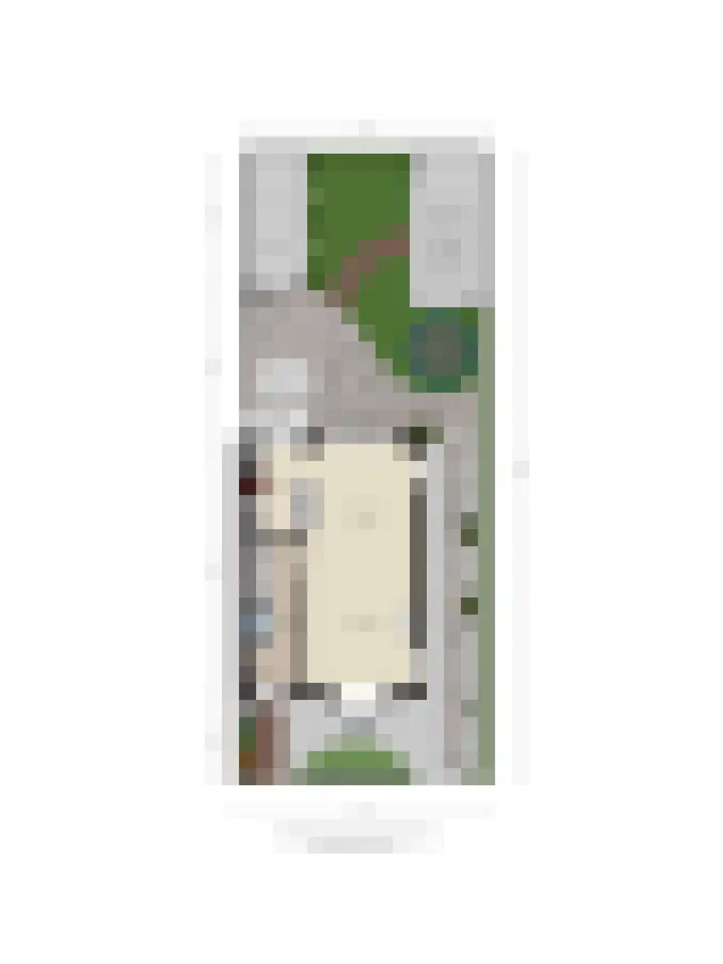Nassaustraat 237 Ridderkerk thumbnail 73
