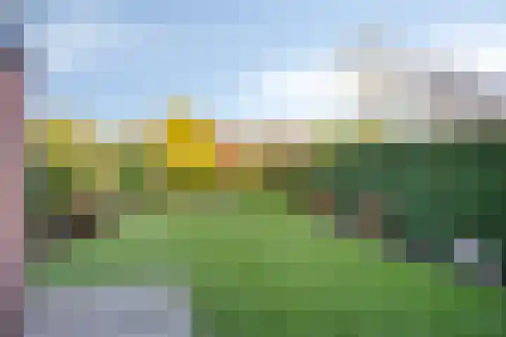 Nassaustraat 26 Best thumbnail 5
