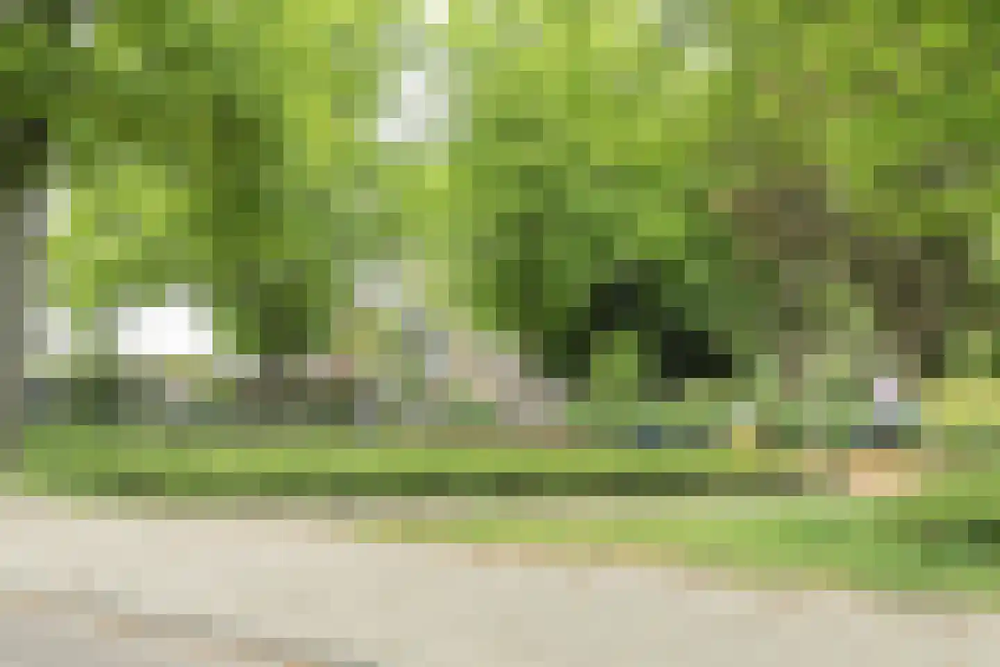 Nassaustraat 26 Ridderkerk thumbnail 35