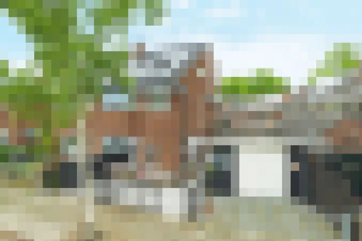 Nassaustraat 26 Ridderkerk thumbnail 37
