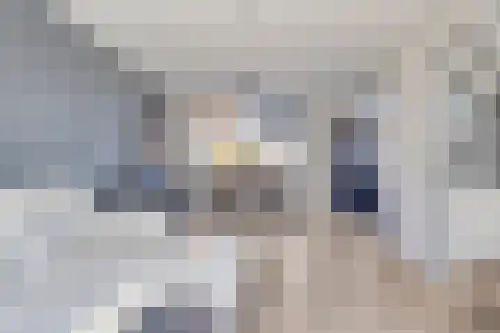 Nassaustraat 27 Strijen thumbnail 11