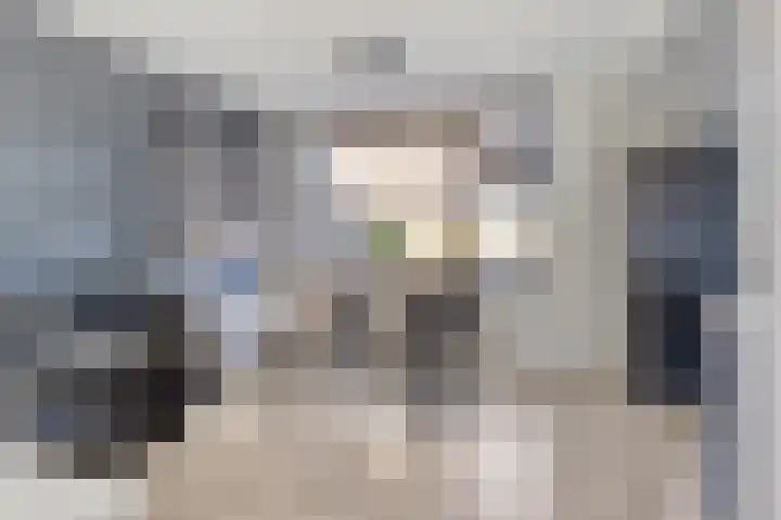 Nassaustraat 27 Strijen thumbnail 12
