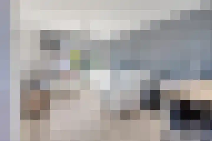 Nassaustraat 27 Strijen thumbnail 18