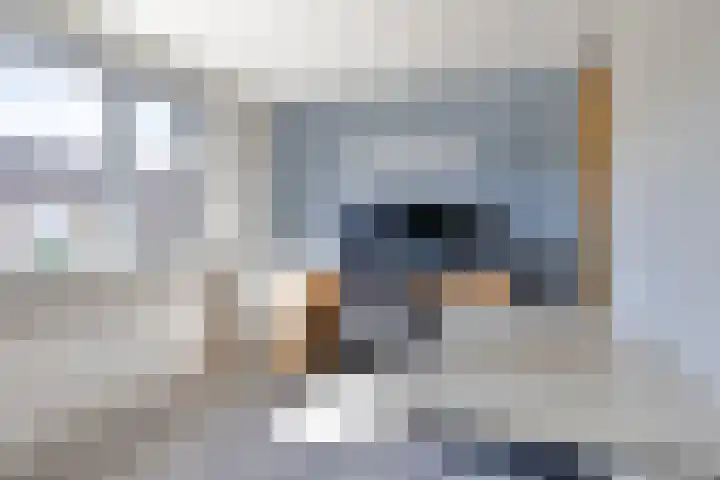 Nassaustraat 27 Strijen thumbnail 29