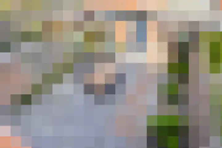 Nassaustraat 27 Strijen thumbnail 34