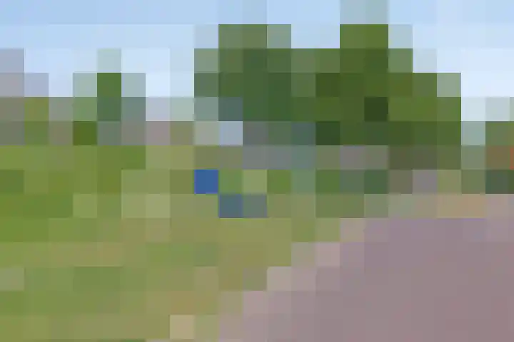 Nassaustraat 27 Strijen thumbnail 35