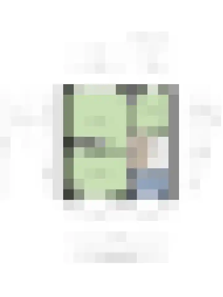 Nassaustraat 27 Strijen thumbnail 37