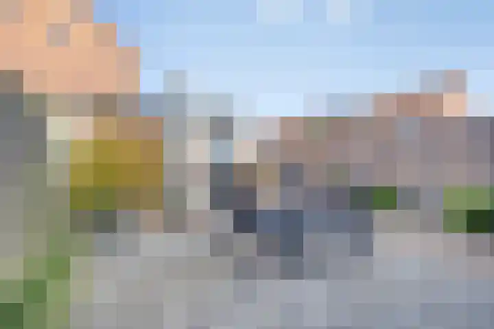 Nassaustraat 27 Strijen thumbnail 4