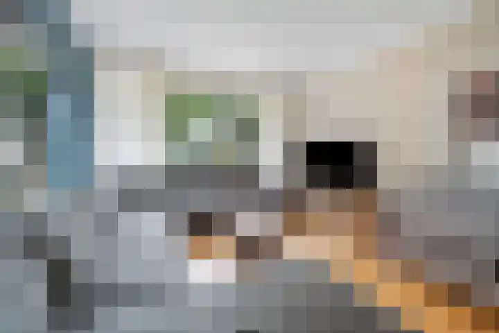 Nassaustraat 28 Dalerpeel thumbnail 13