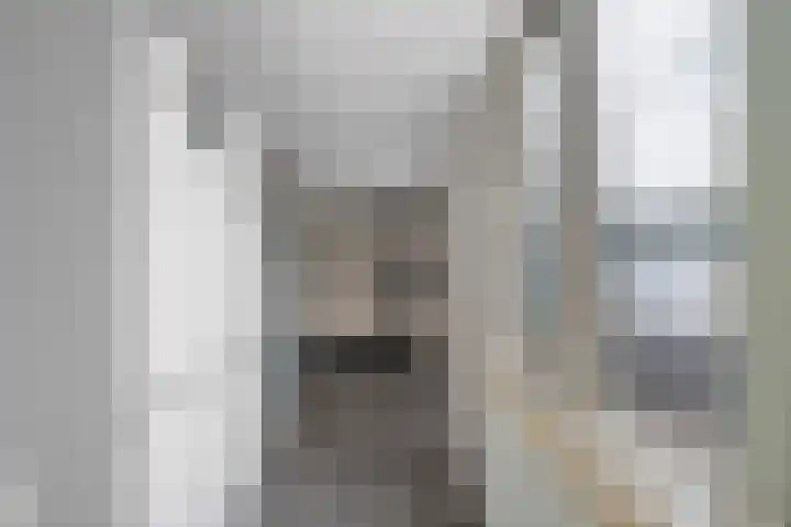 Nassaustraat 28 Dalerpeel thumbnail 16