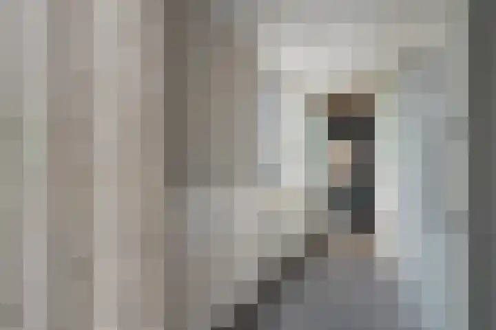 Nassaustraat 28 Dalerpeel thumbnail 17