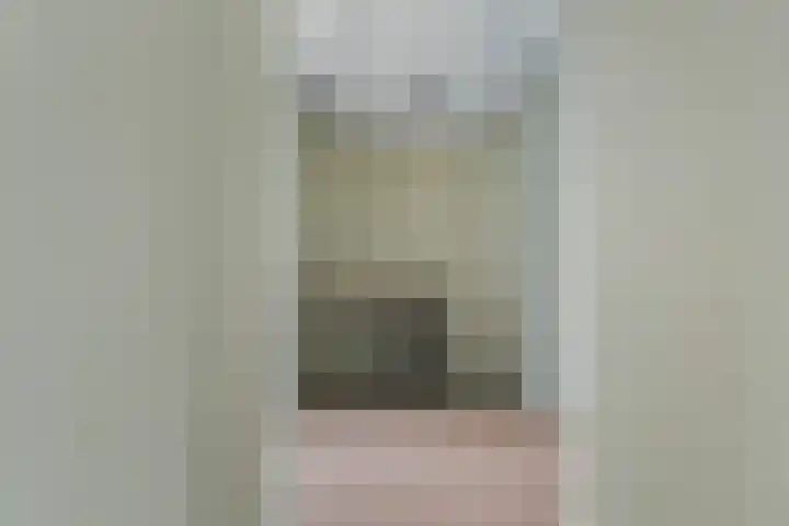 Nassaustraat 28 Dalerpeel thumbnail 18